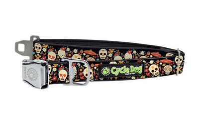 Cycle Dog Collar/Leash - Sugar Skulls