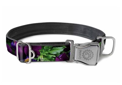 Cycle Dog Collar/Leash - Purple Pansies