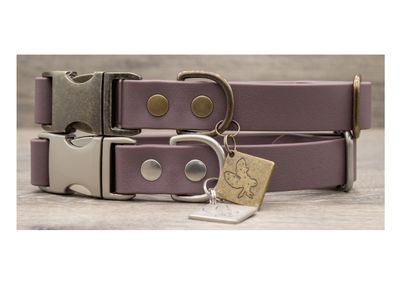 Hoot &amp; Co Collar/Leash - Wisteria