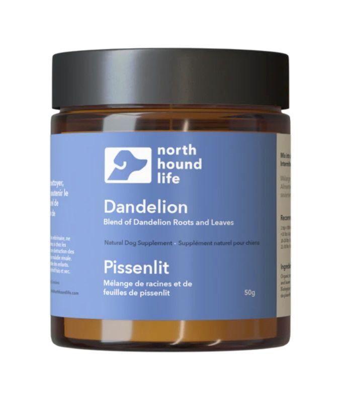 North Hound Life Dandelion