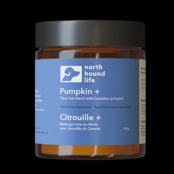 North Hound Life Pumpkin +