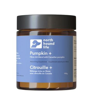 North Hound Life Pumpkin +