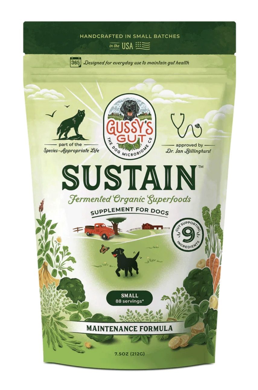 Gussy's Gut Sustain Fermented Superfood Supplement