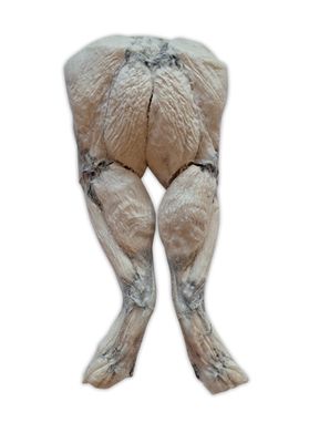 Natural Chews - Frog Legs