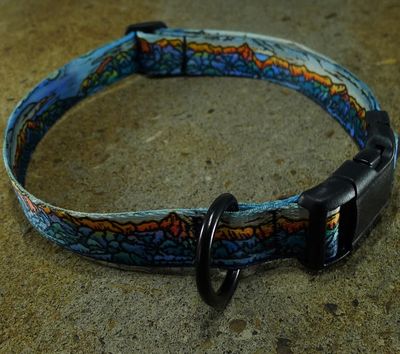 Mtn Straps Collar/Leash - Bridger