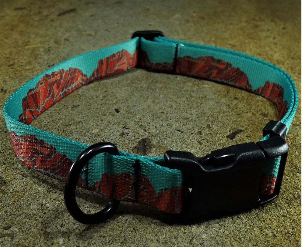 Mtn Straps Collar/Leash - Canyon Walls, Size: MD