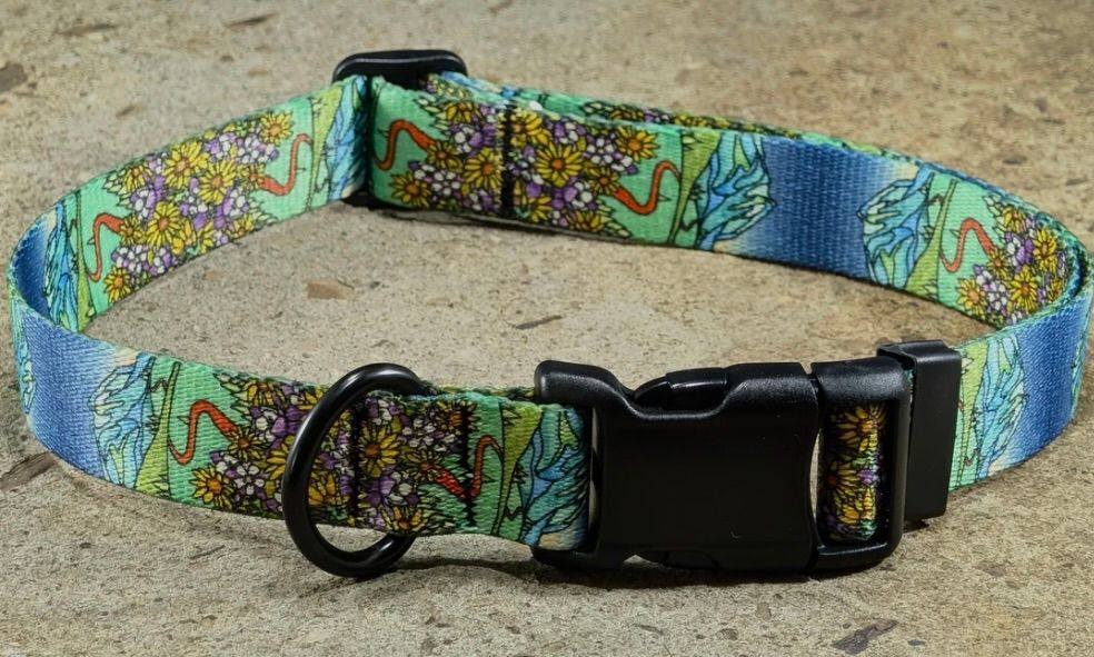 Mtn Straps Collar/Leash - Crested Butte, Size: SM