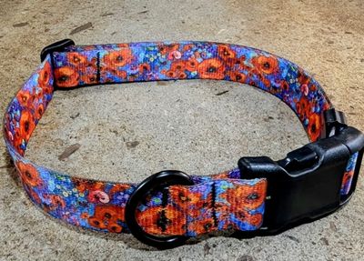Mtn Straps Collar/Leash - Fantasia