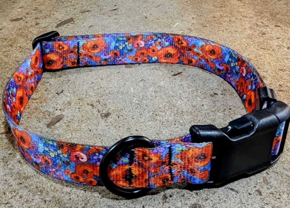 Mtn Straps Collar/Leash - Fantasia, Size: SM