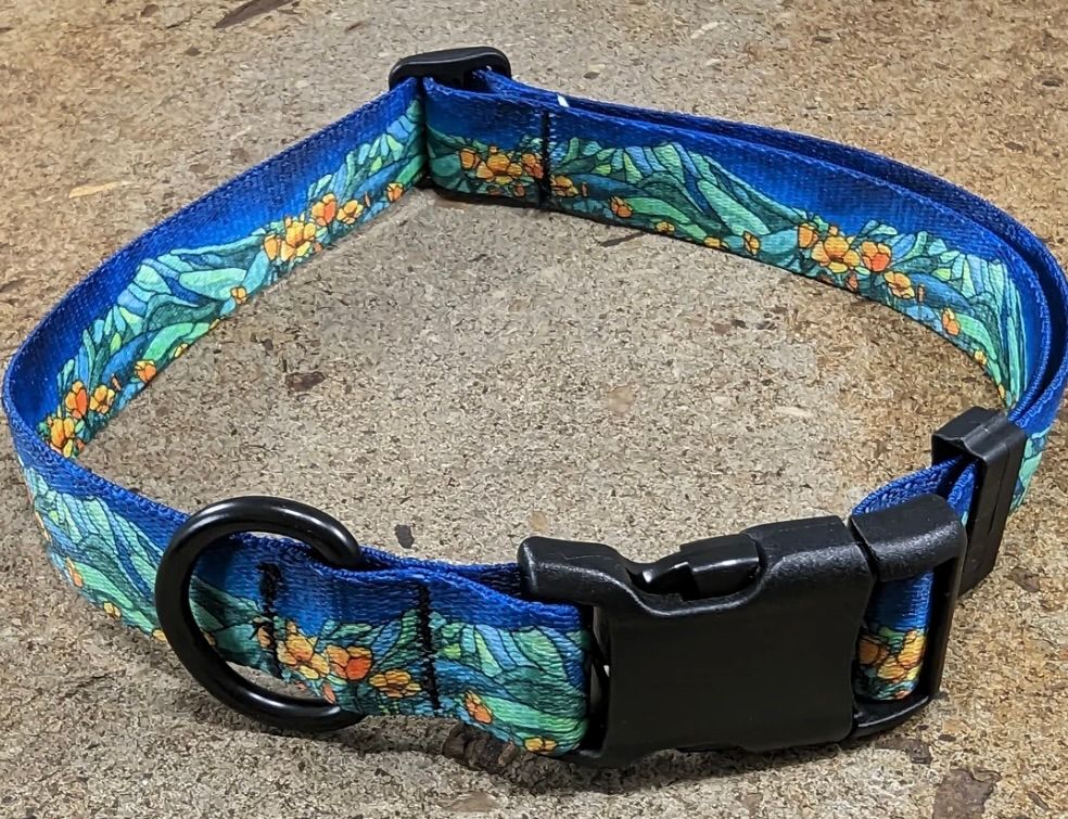 Mtn Straps Collar/Leash - Mount Tam, Size: SM