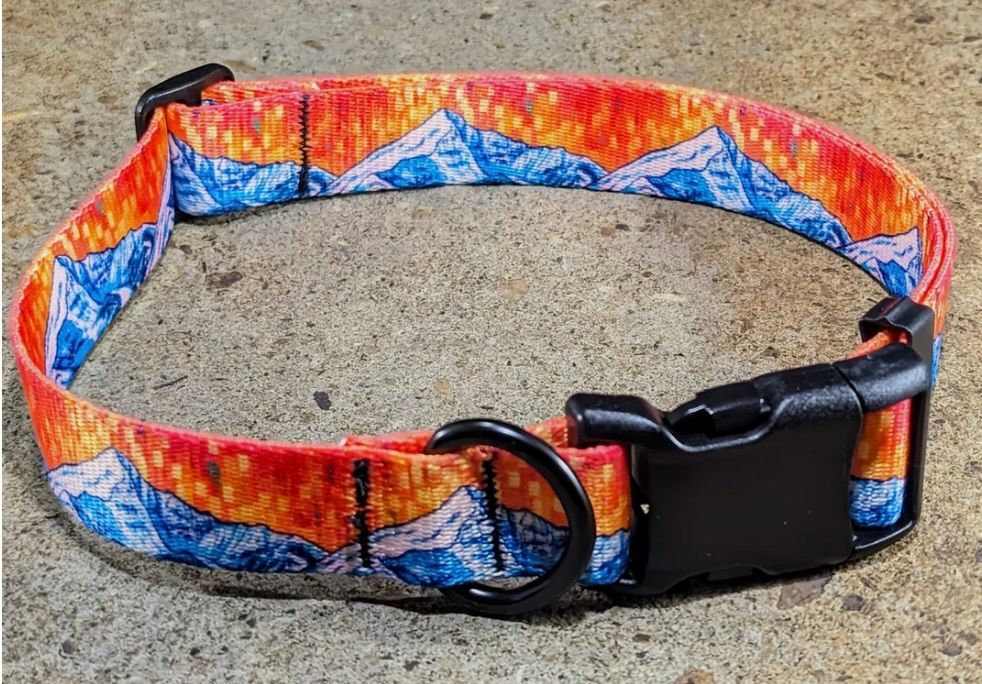 Mtn Straps Collar/Leash - Lone 2, Size: SM