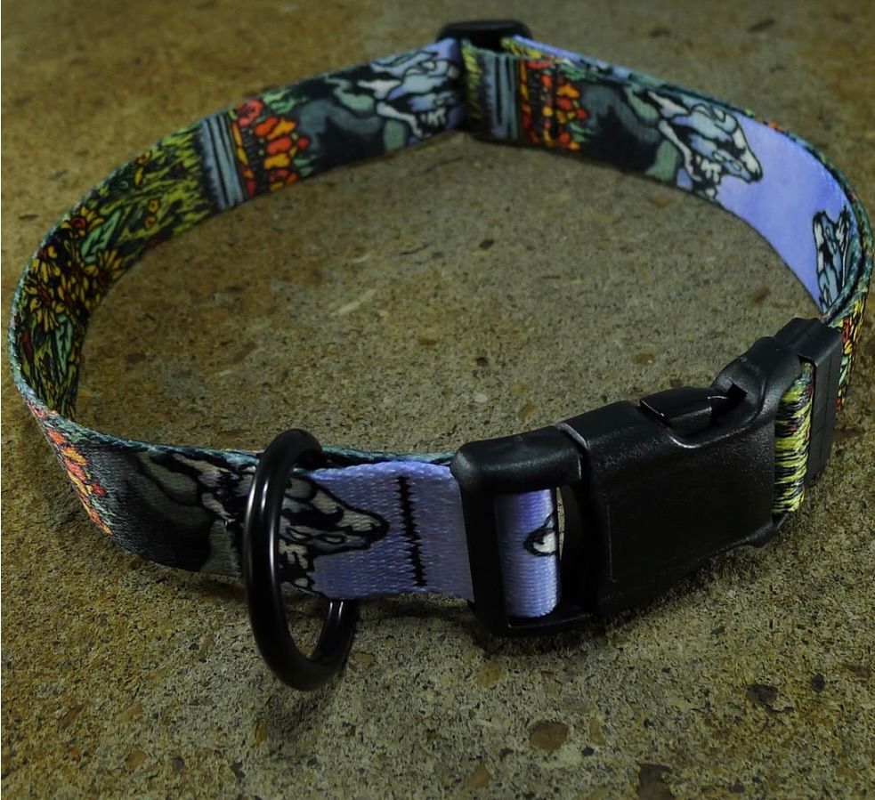 Mtn Straps Collar/Leash - Tetons, Size: MD