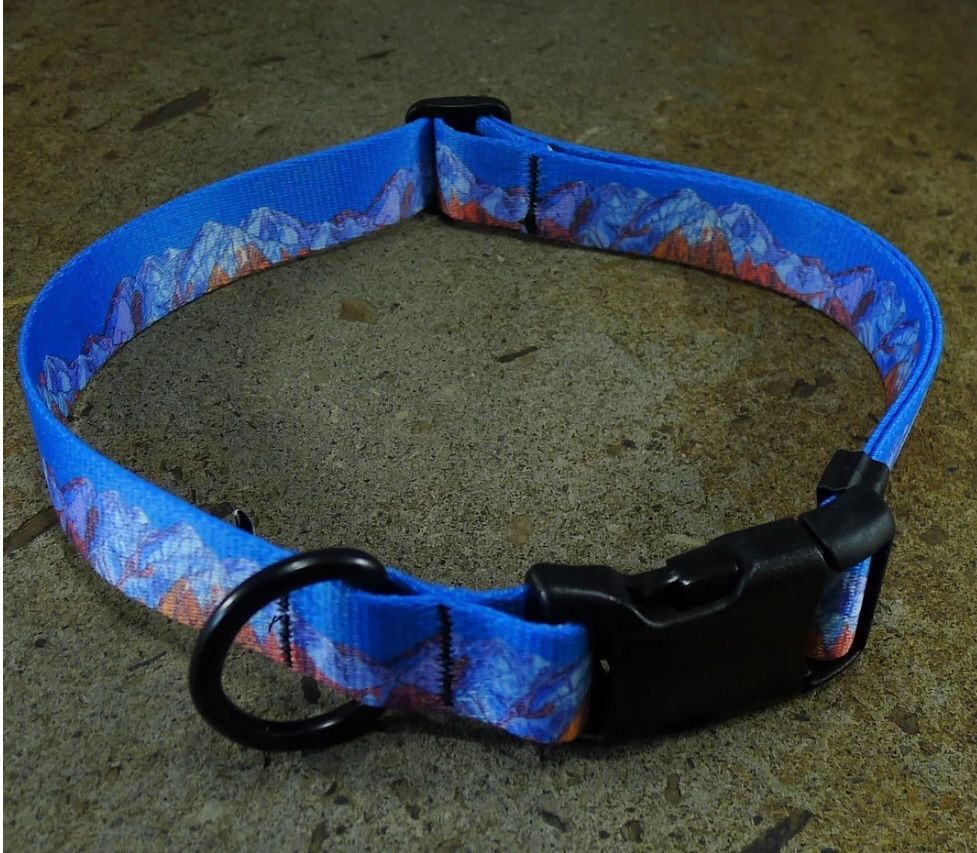Mtn Straps Collar/Leash - Wasatch Front, Size: MD