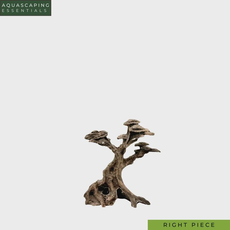 Timeless Forest Set Resin Bonsai Tree