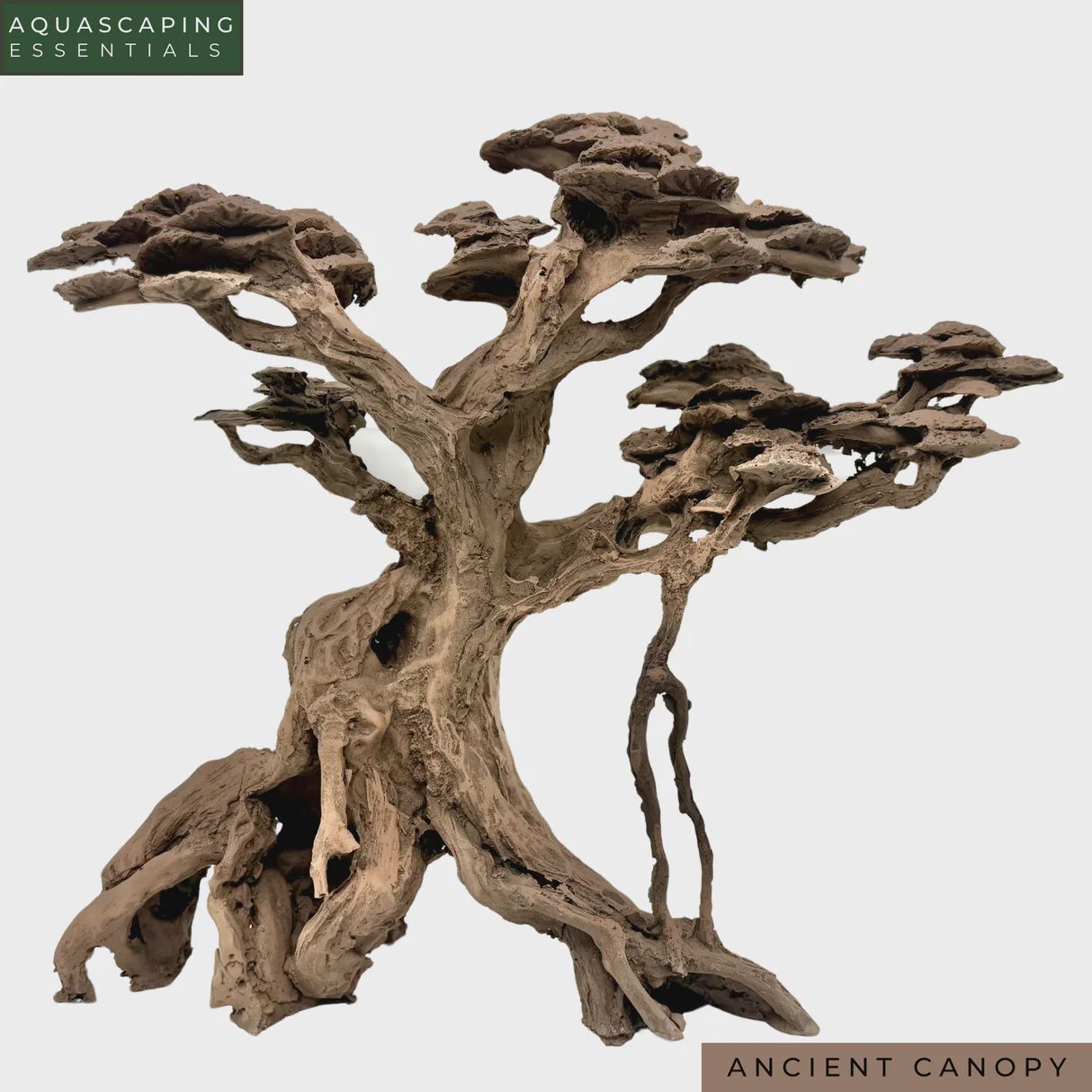 Ancient Canopy Resin Bonsai Tree