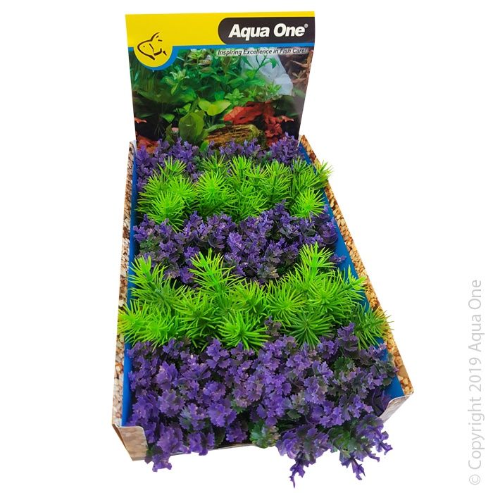 Ecoscape Foreground Catspaw Purple &amp; Green Ambulia 1pk