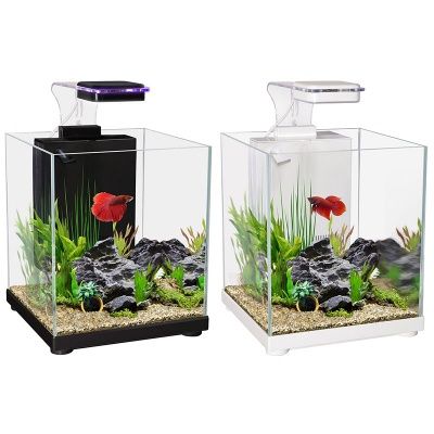 Aqua One Betta Sanctuary Glass Aquarium 10L 22.4W X 22.4D X 26.3cm (Black) Aqua One Betta Sanctuary Glass Aquarium 10L 22.4W X 22.4D X 26.3cm (Black)