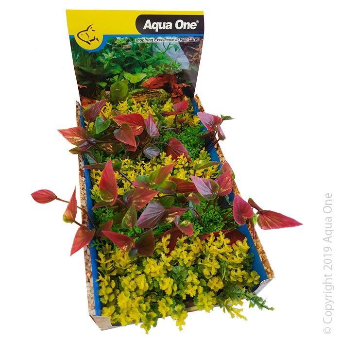 Ecoscape Foreground Catspaw Yellow &amp; Red Lilly 1pk