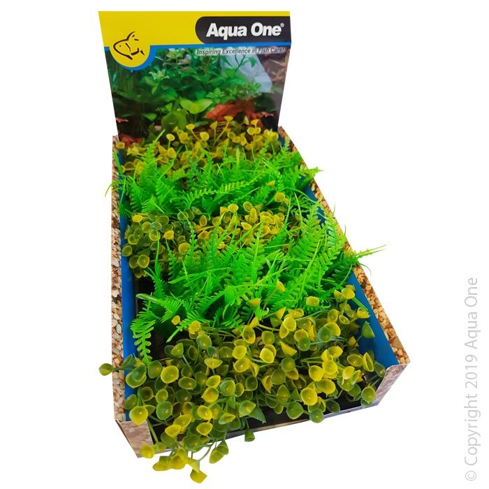 Ecoscape Foreground Yellow Ogris Auribus &amp; Green fern 1pk