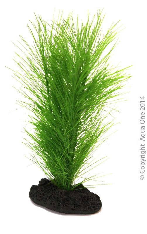 Aqua One Ornament - Betta Green Fern On Rock 10cm