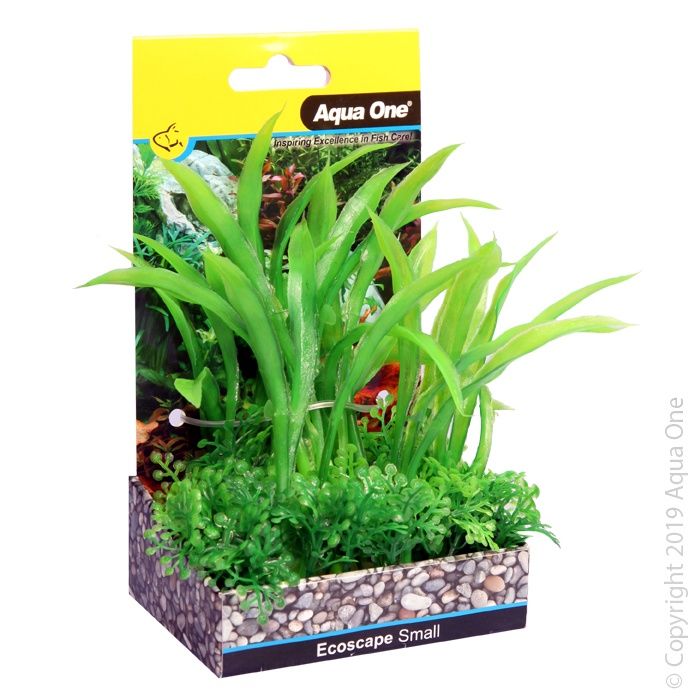 Ecoscape Small Green Crinum