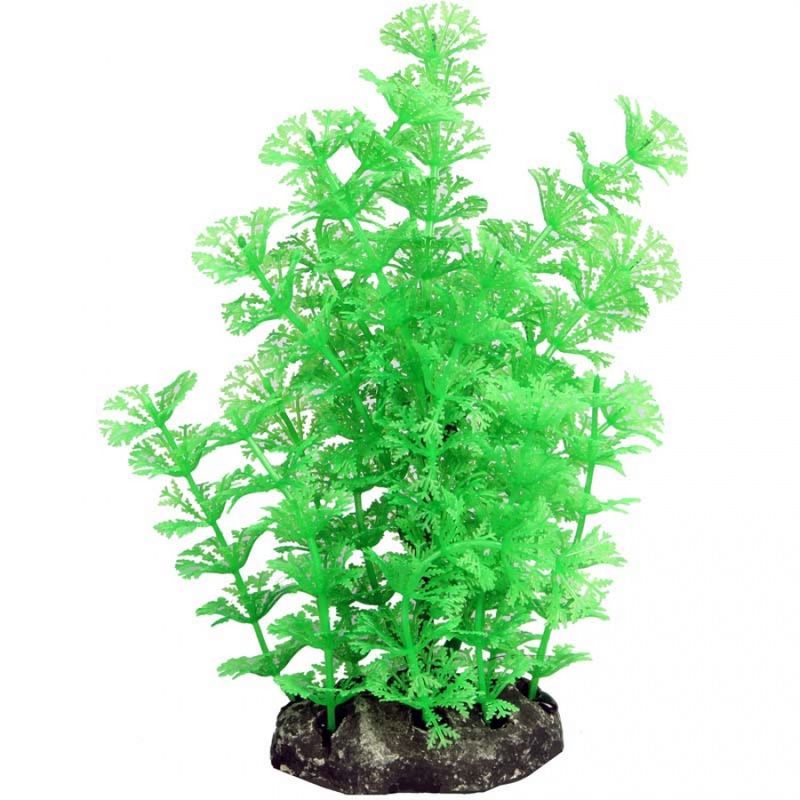 Ecoscape Medium Green Ambulia