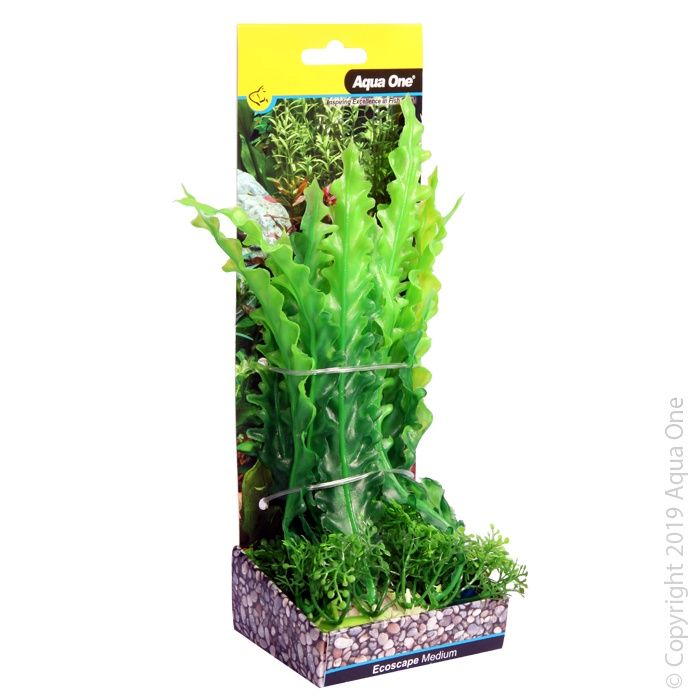 Ecoscape Medium Ruffled Lace Plant - Green