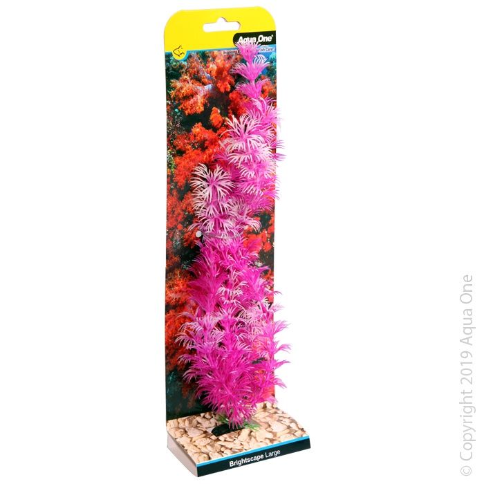 Brightscape Large Ambulia Pink