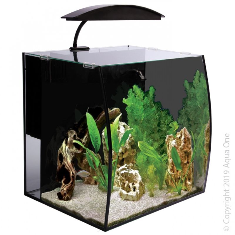 ARC  46 Glass Aquarium