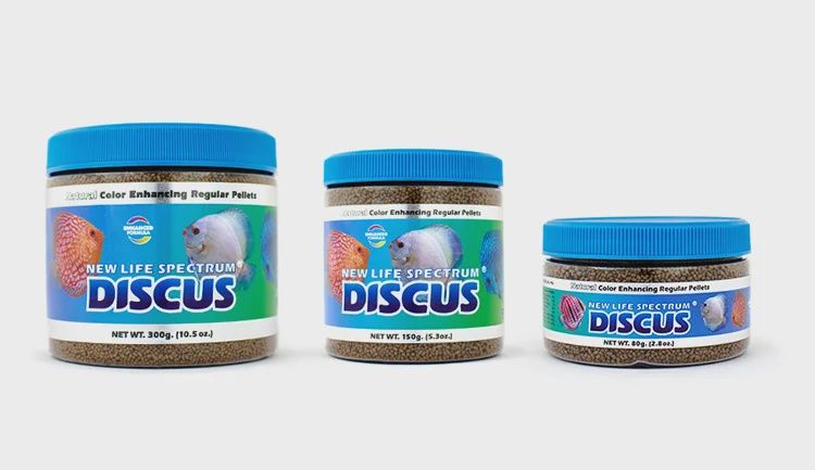 Discus New Life Spectrum