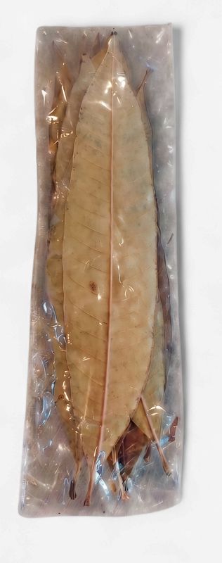 CV. Mango Leaves 10 pack