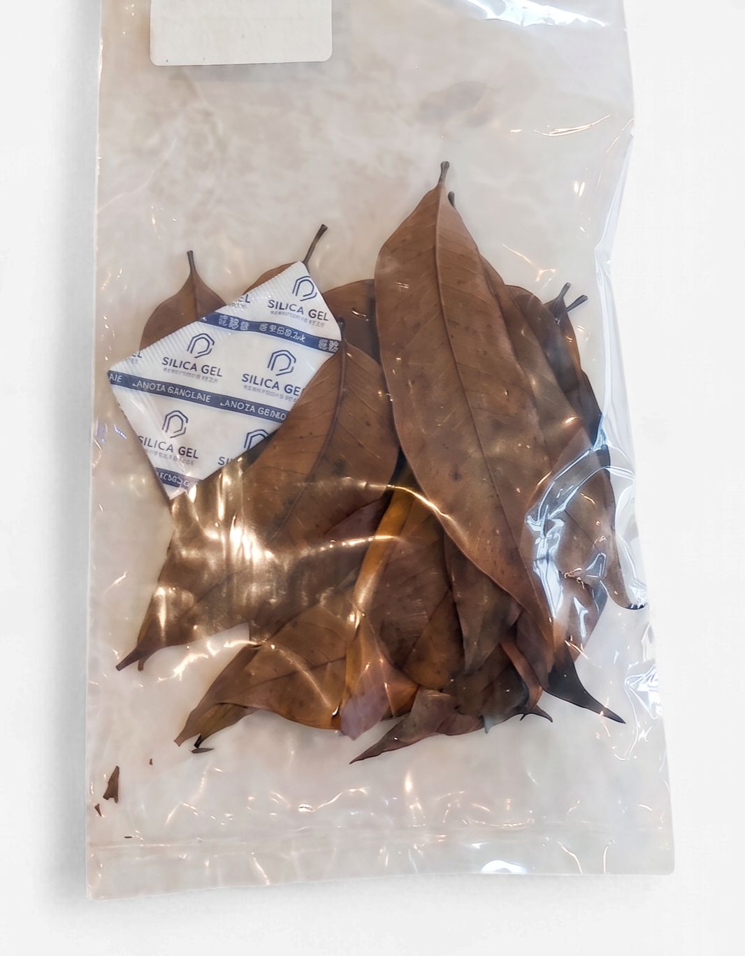CV. Mahogany Leaves 20 pack