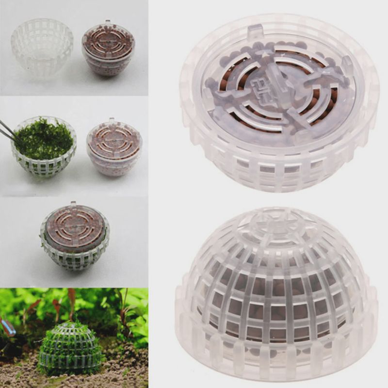 Qanvee Moss Holder