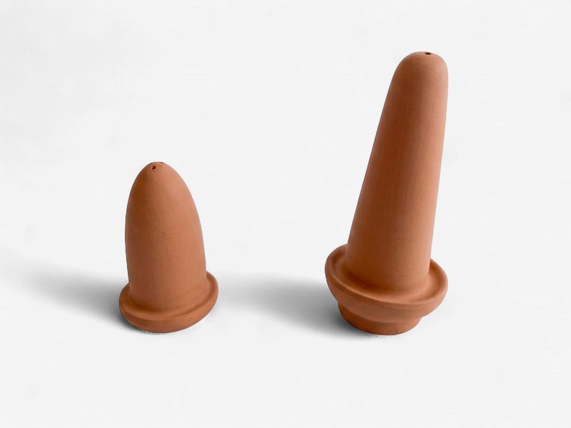 Breeding Cone