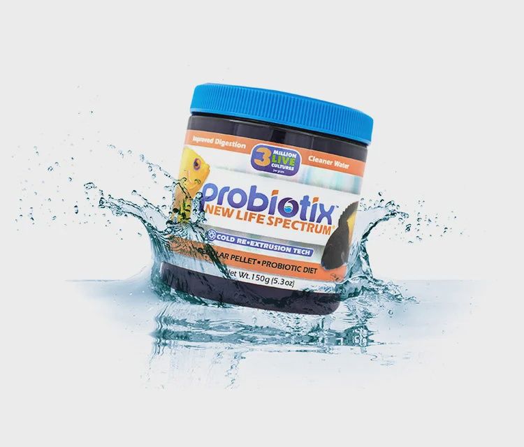 Probiotix Regular