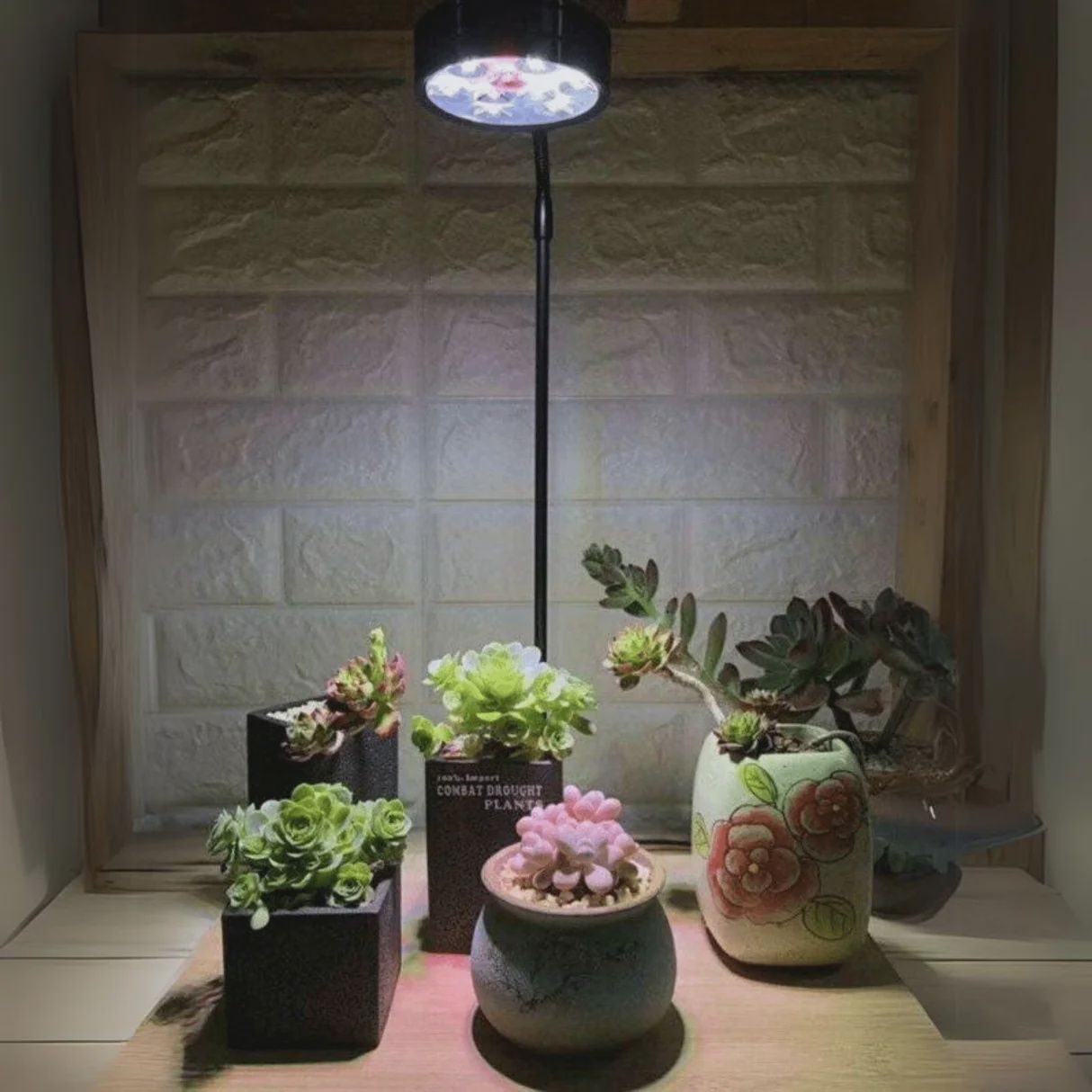 Terra Light LED
