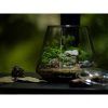 Bioloark Plant Bottle