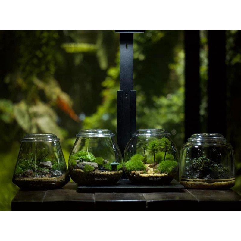 Bioloark Plant Bottle