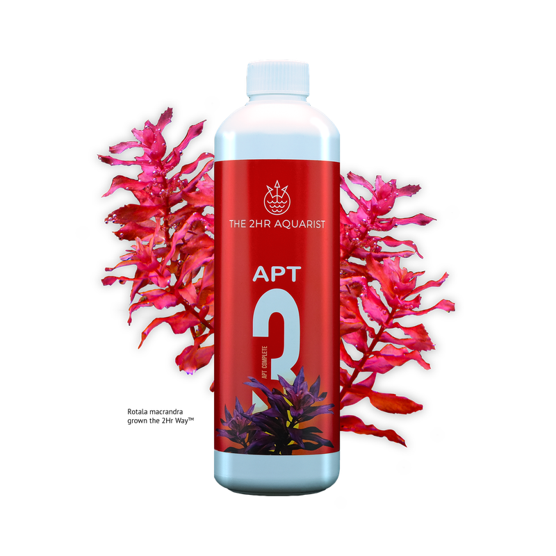 APT 3