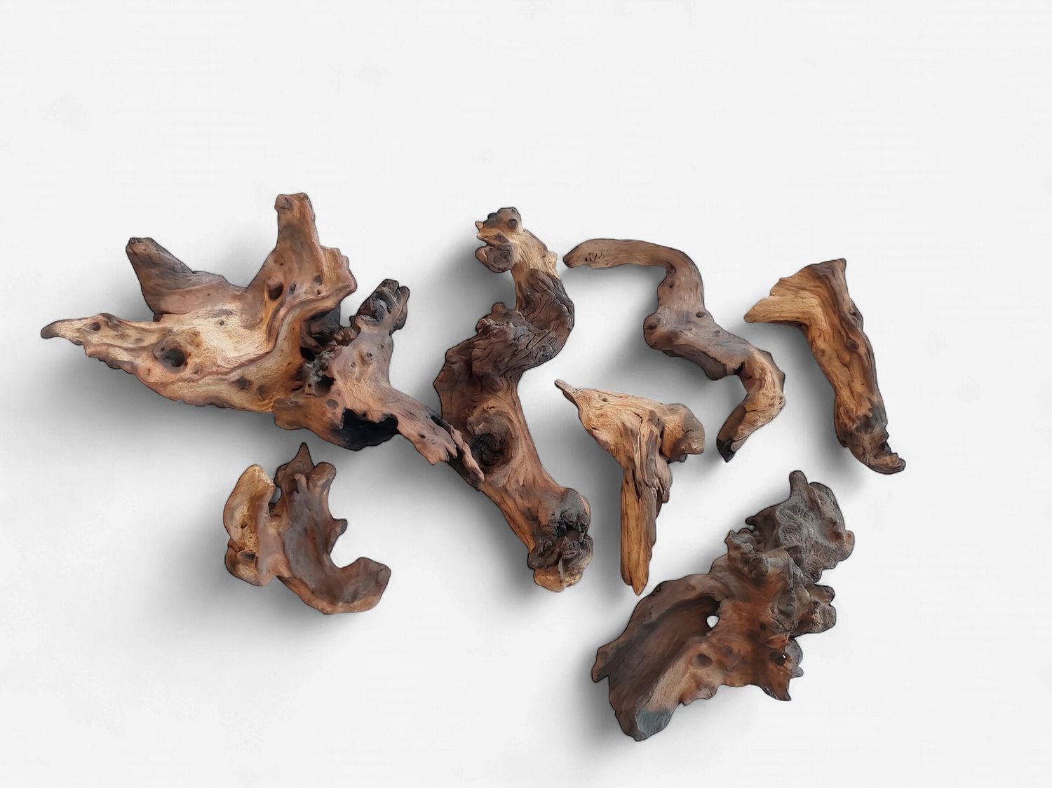 Mopani Wood 100g