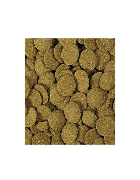 Hikari Tropical Algae Wafer