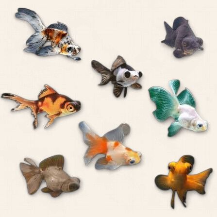 Telescope Goldfish