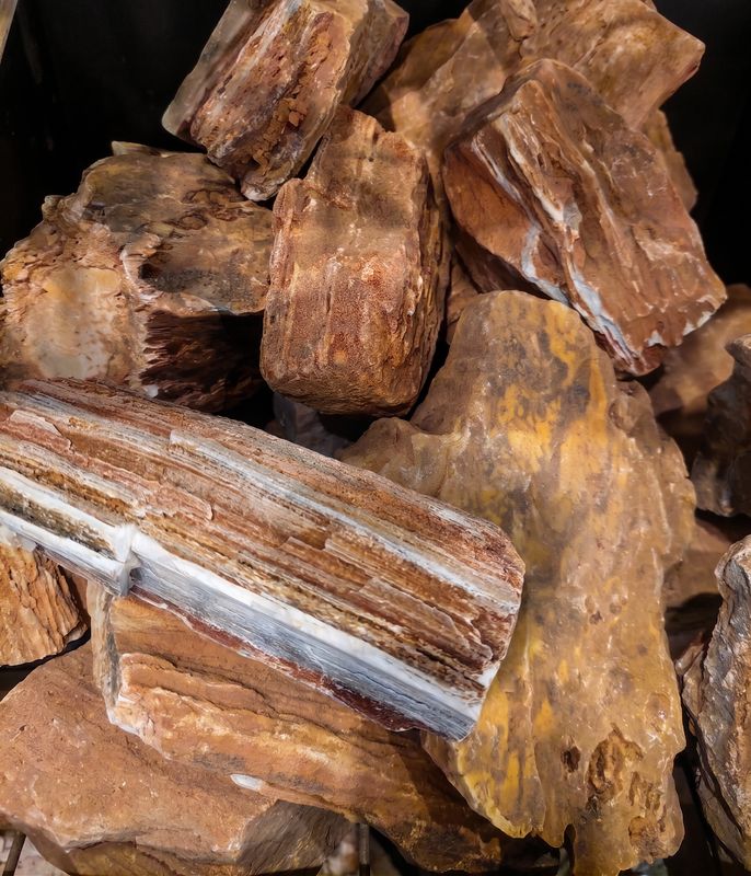Red Wood Rock 1kg