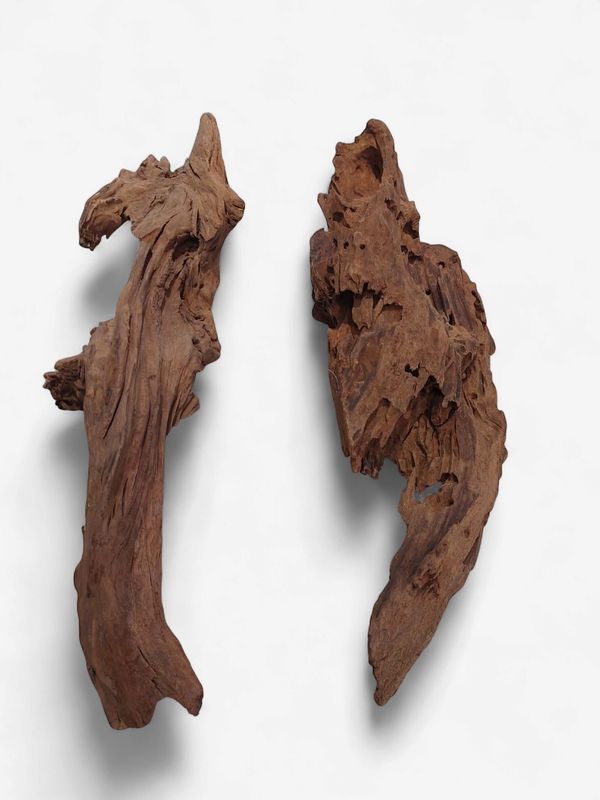 Drift wood