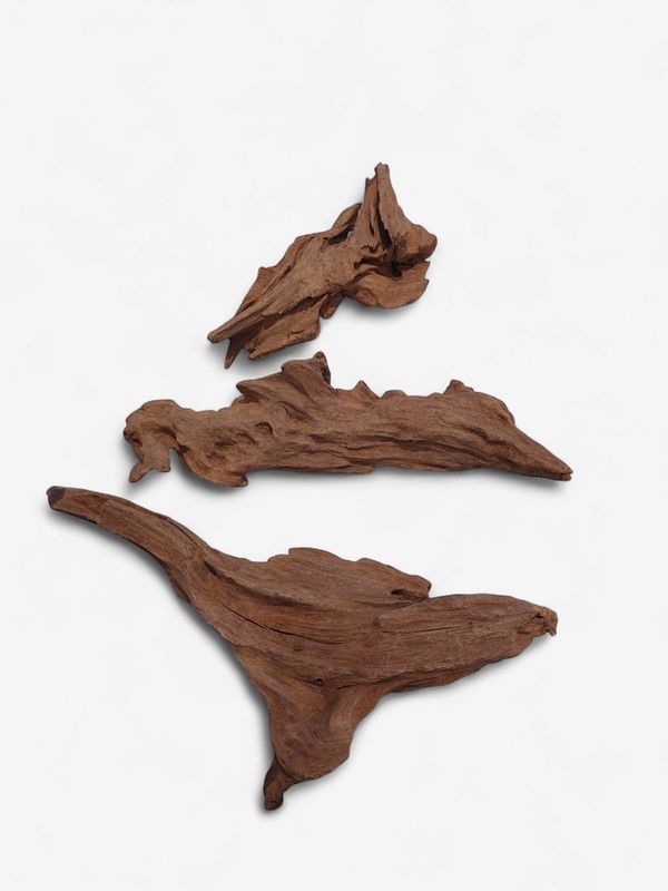 Drift wood