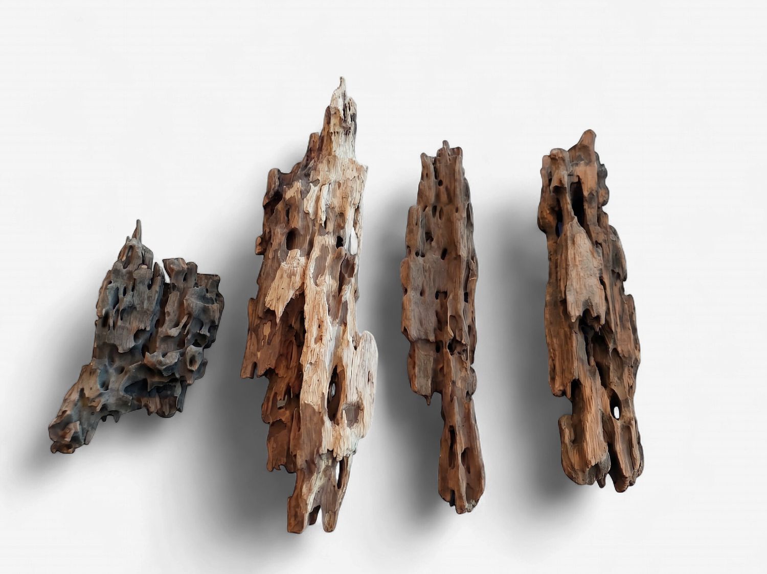 Shrimp Wood 100g