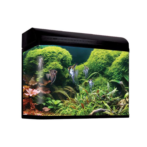 Aqua One AR980T Gloss Black, Model: 980T