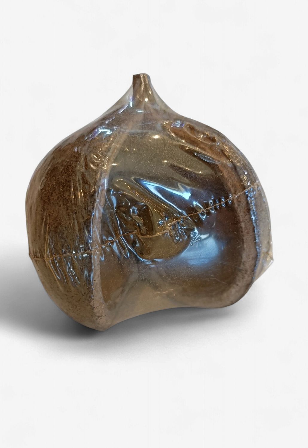 Buddha Pods 1 Pack