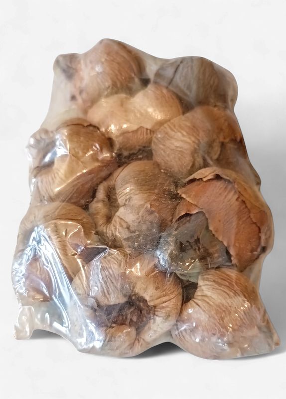 Mini Coconut Pods 10 Pack