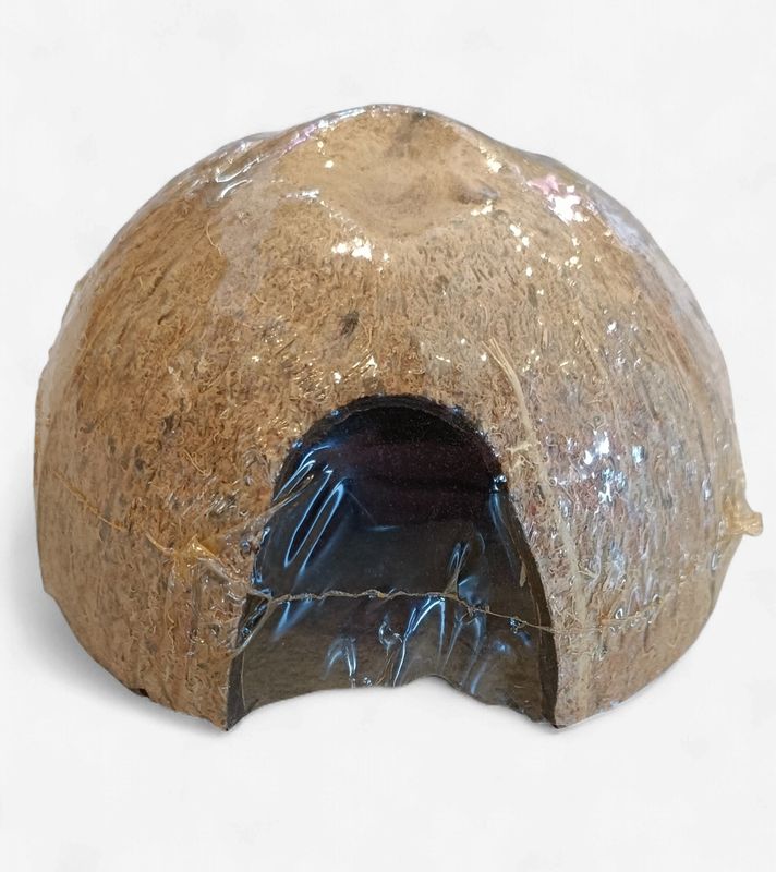 Coconut Shell 1x